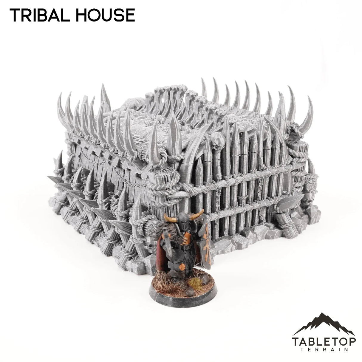 Tribal House - Tribal Terrain