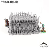 Tribal House - Tribal Terrain
