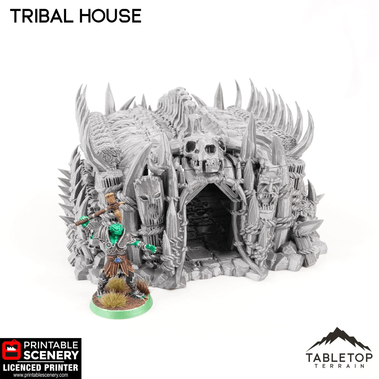 Tribal House - Tribal Terrain