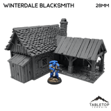 Winterdale Blacksmith - Fantasy Building