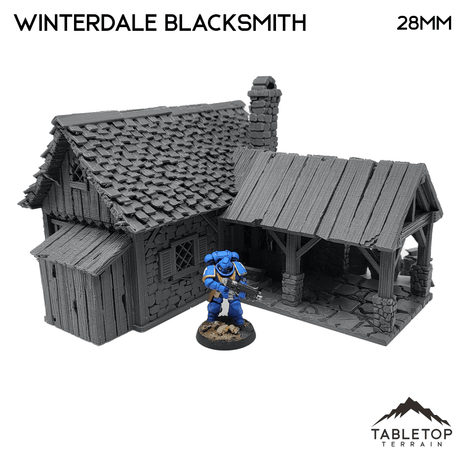 Winterdale Blacksmith - Fantasy Building