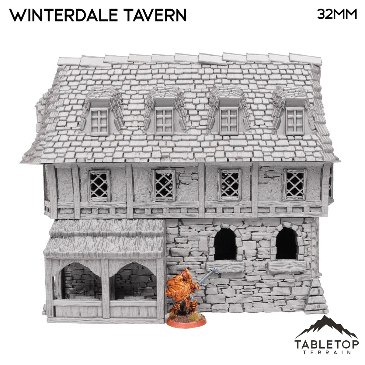 Winterdale Tavern - Fantasy Building