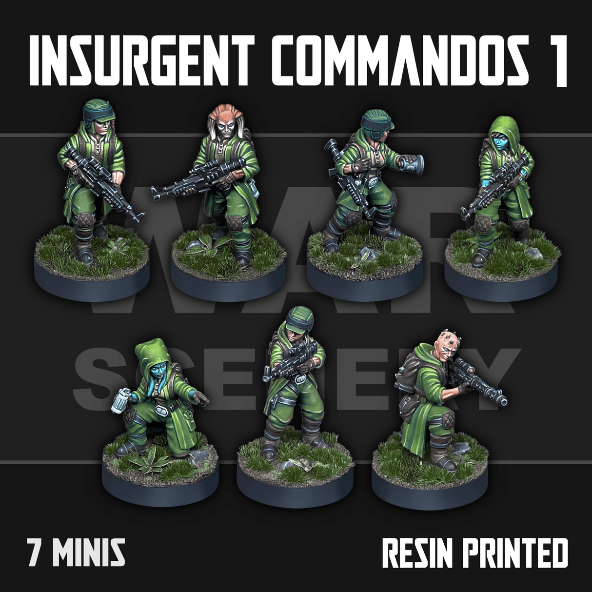 Insurgent Commandos 1