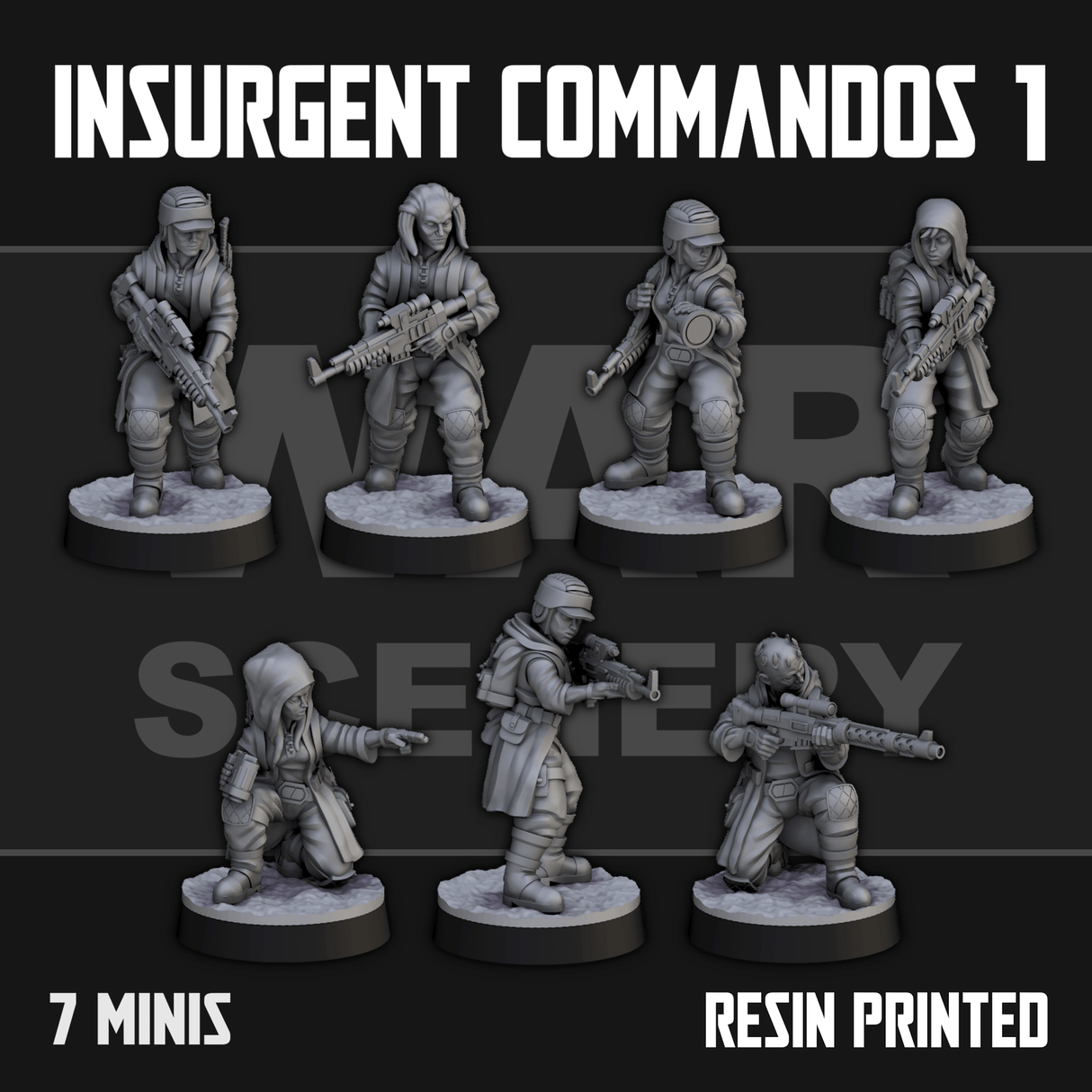 Insurgent Commandos 1