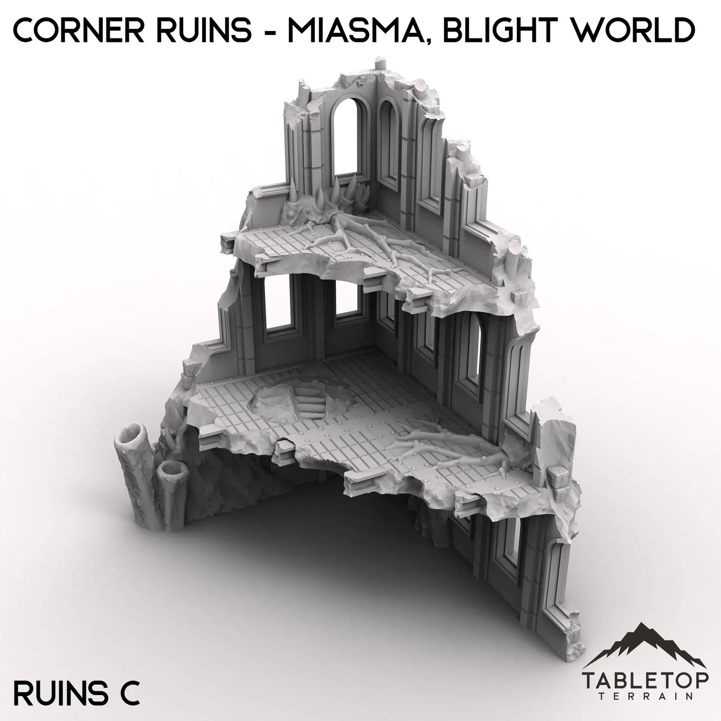 Corner Ruins - Miasma, Blight World