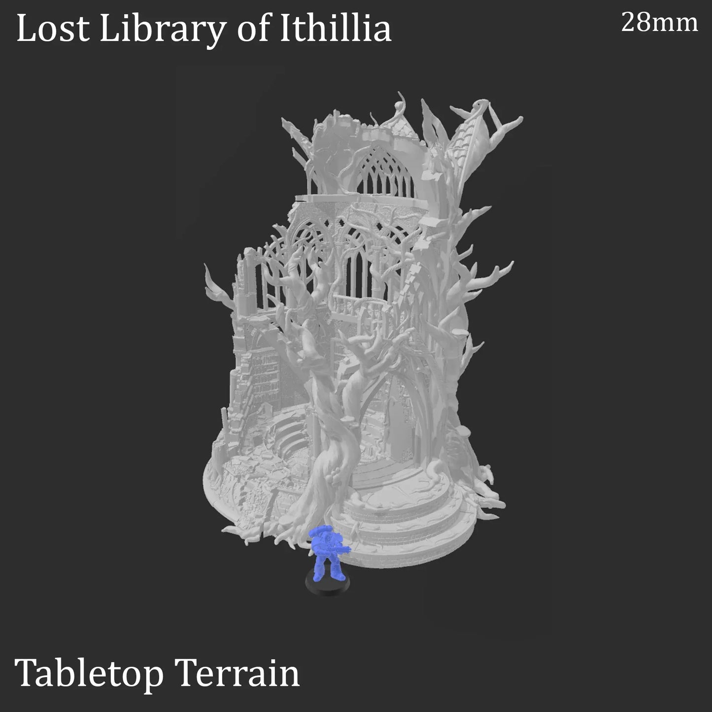 Lost Library of Ithillia - Elven Ruins