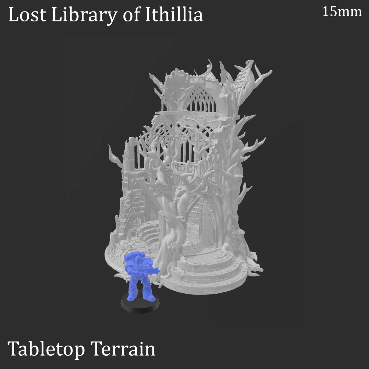 Lost Library of Ithillia - Elven Ruins