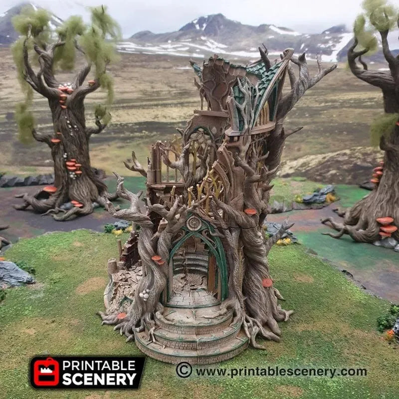 Lost Library of Ithillia - Elven Ruins