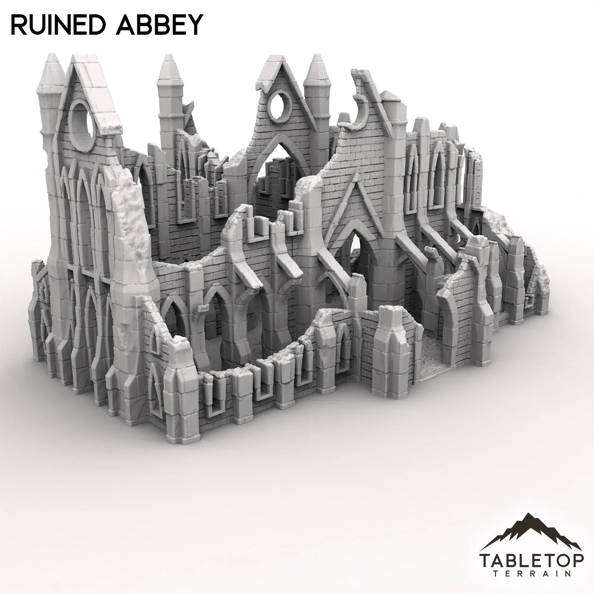 Ruined Abbey