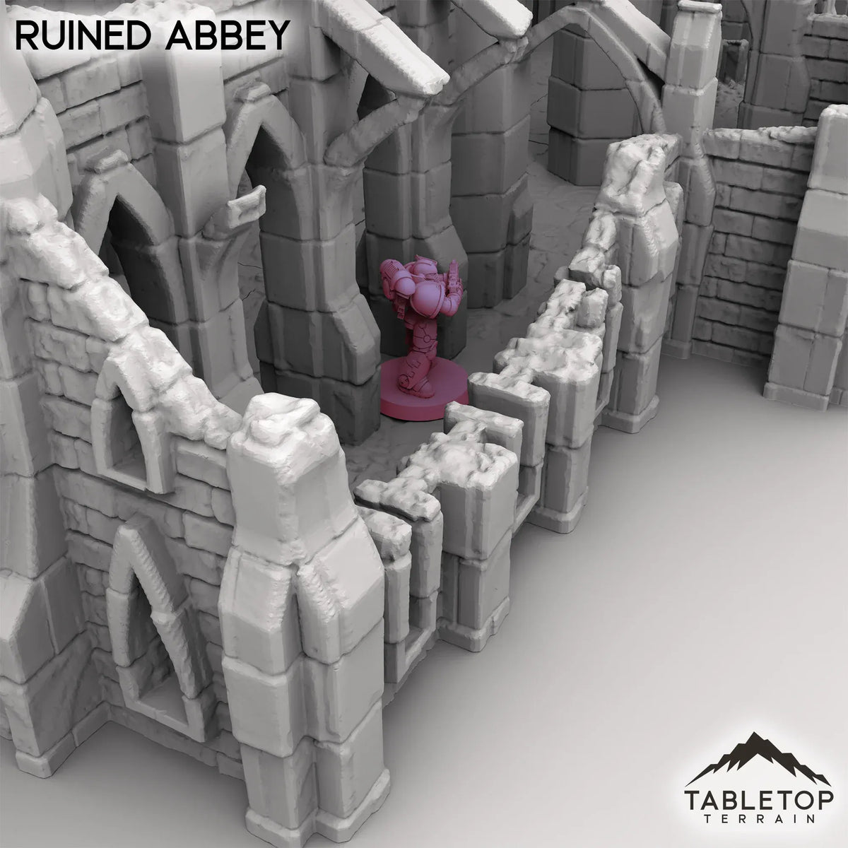 Ruined Abbey