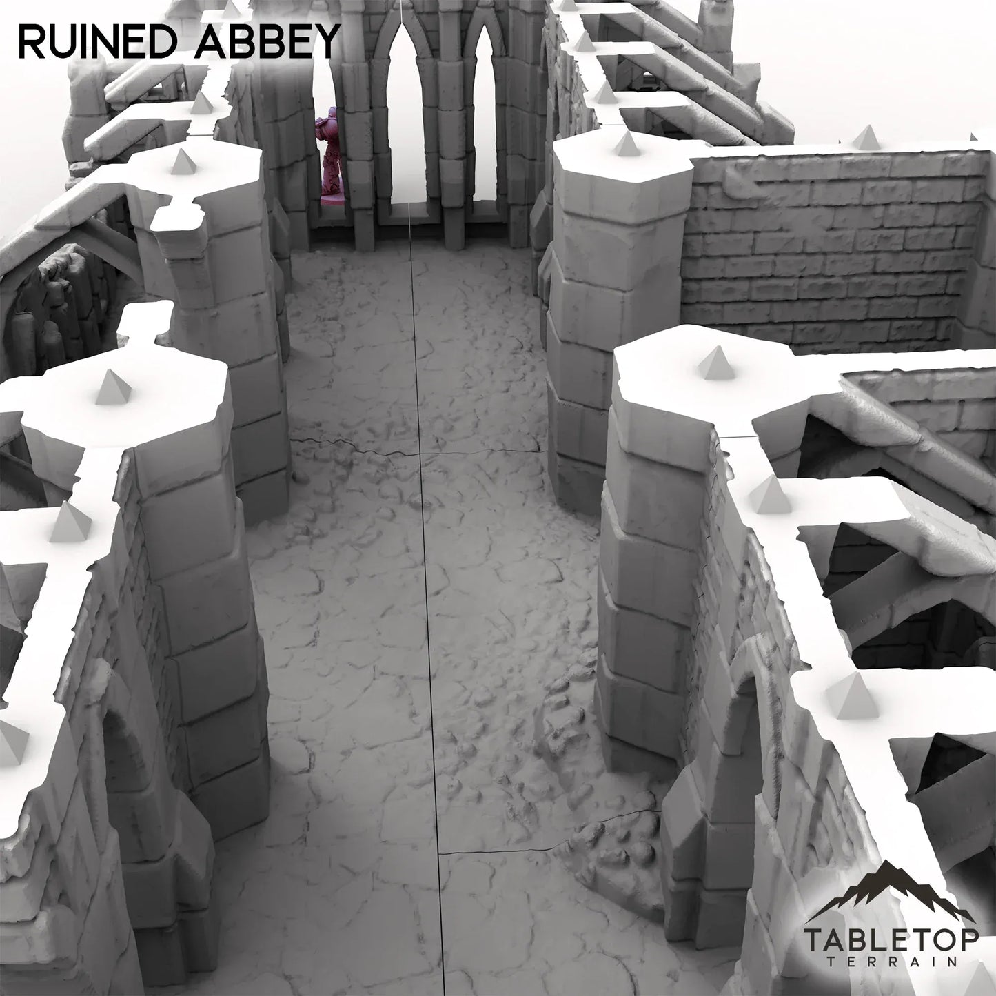 Ruined Abbey