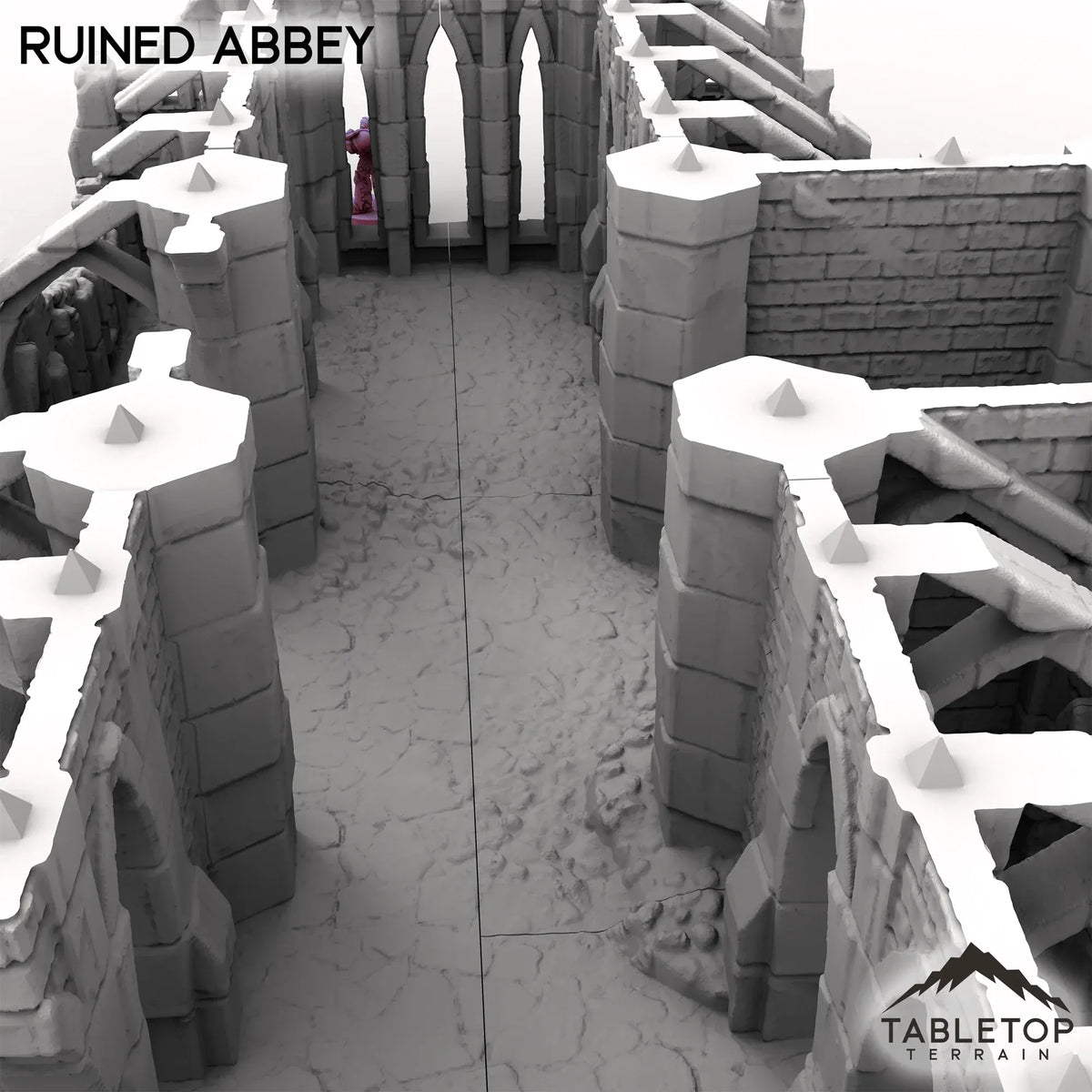 Ruined Abbey