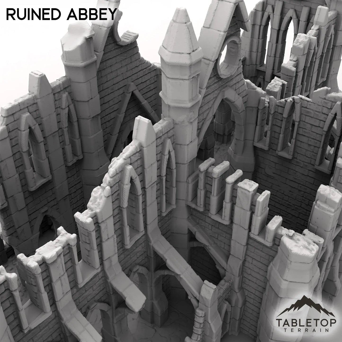 Ruined Abbey