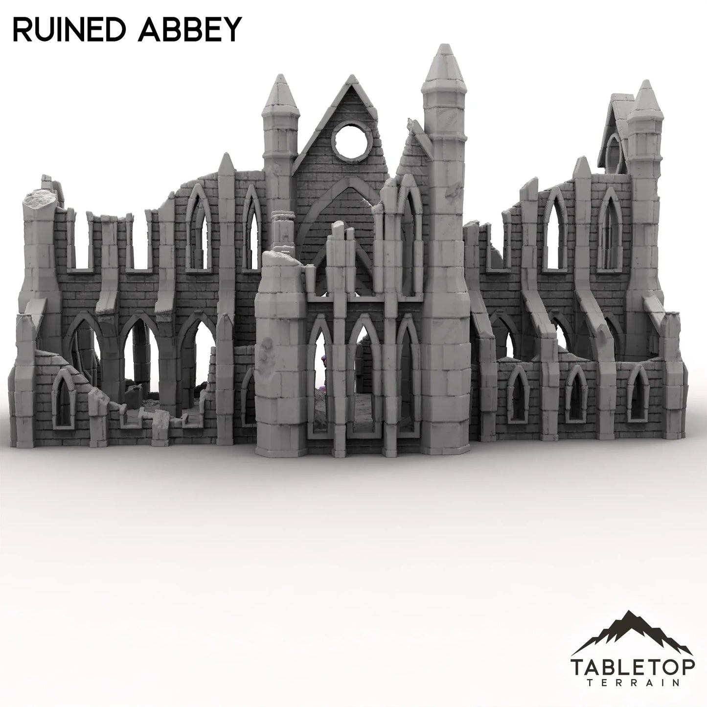Ruined Abbey