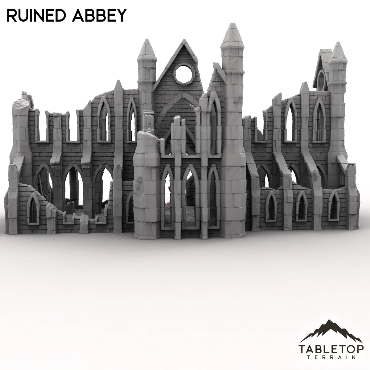 Ruined Abbey