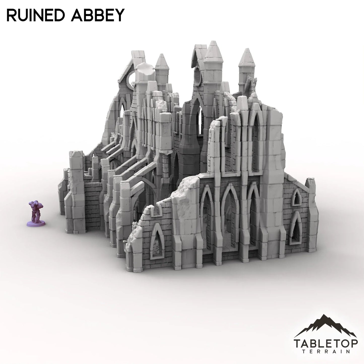 Ruined Abbey