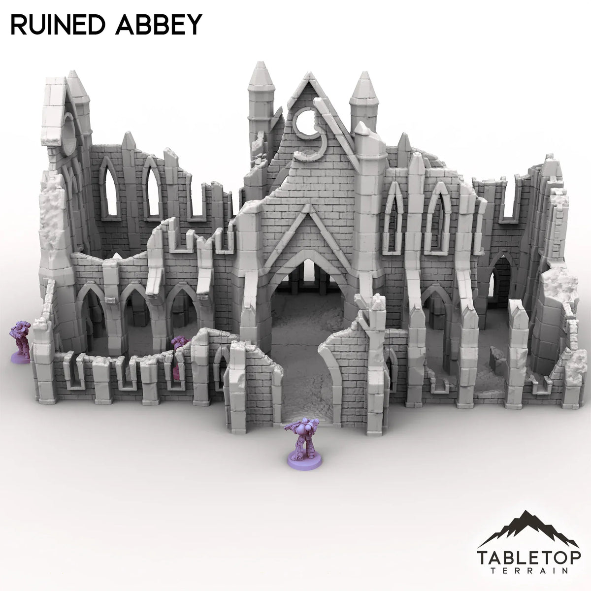 Ruined Abbey