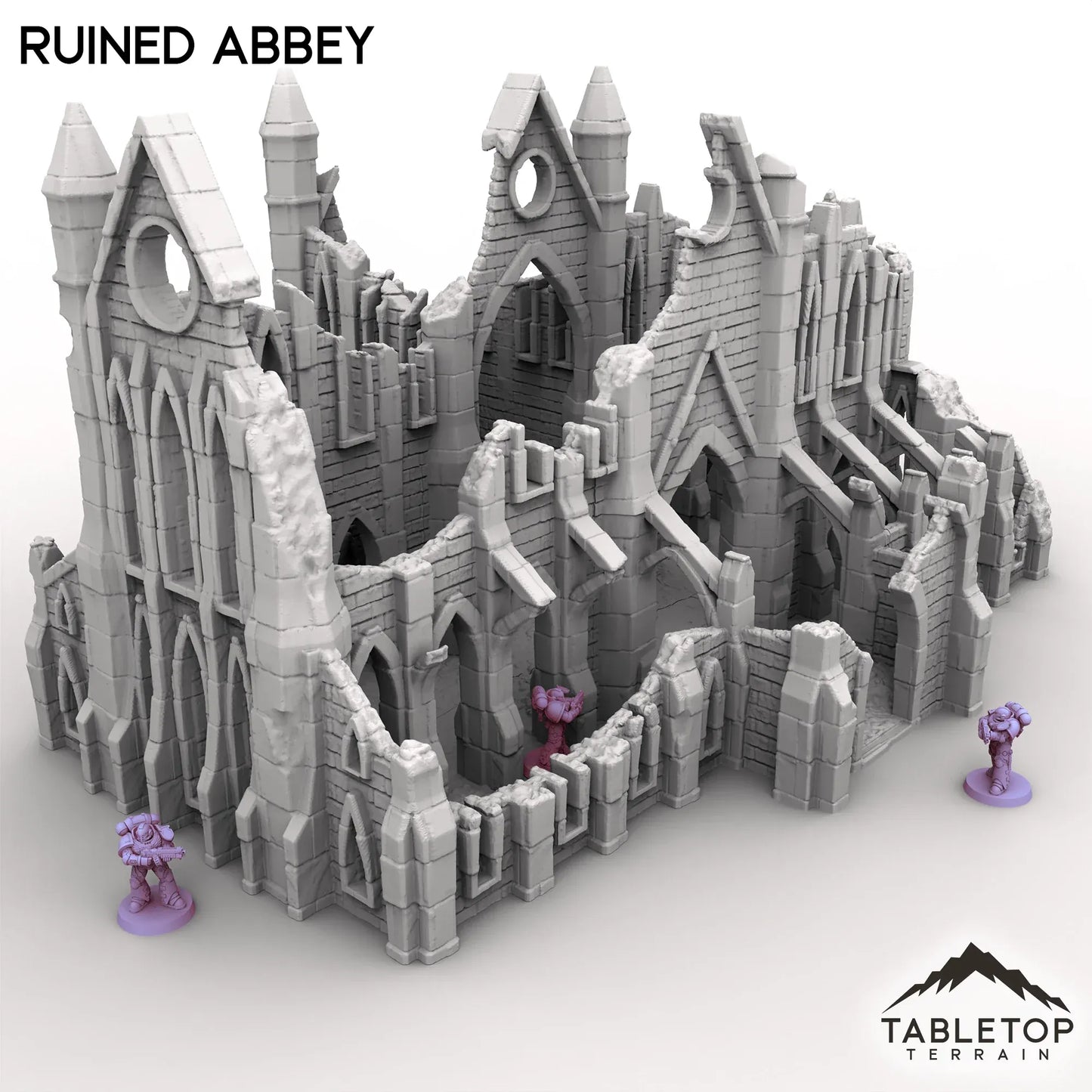 Ruined Abbey