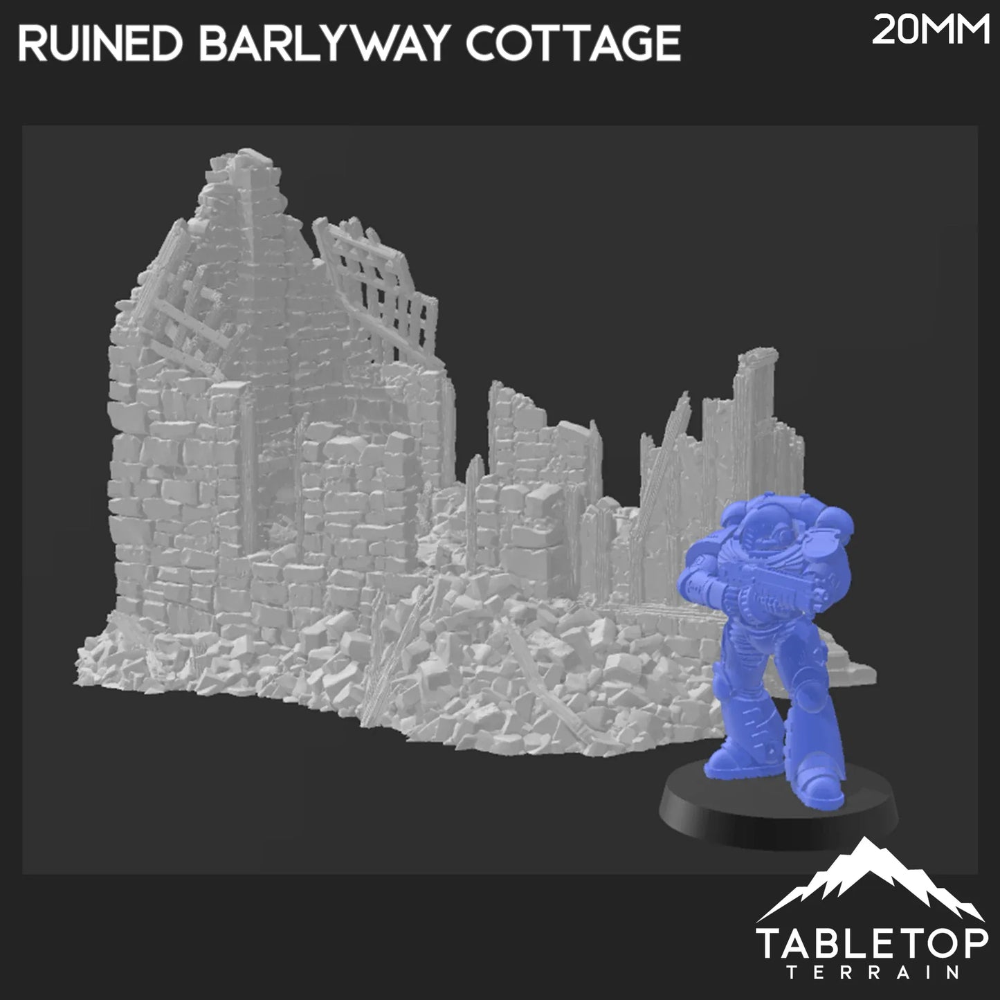 Ruined Barlyway Cottage - Country & King - Fantasy Historical Ruins