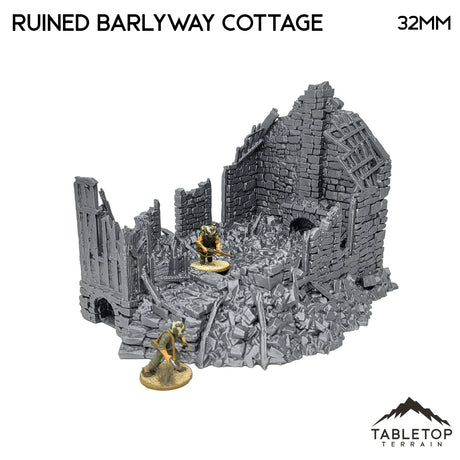 Ruined Barlyway Cottage - Country & King - Fantasy Historical Ruins