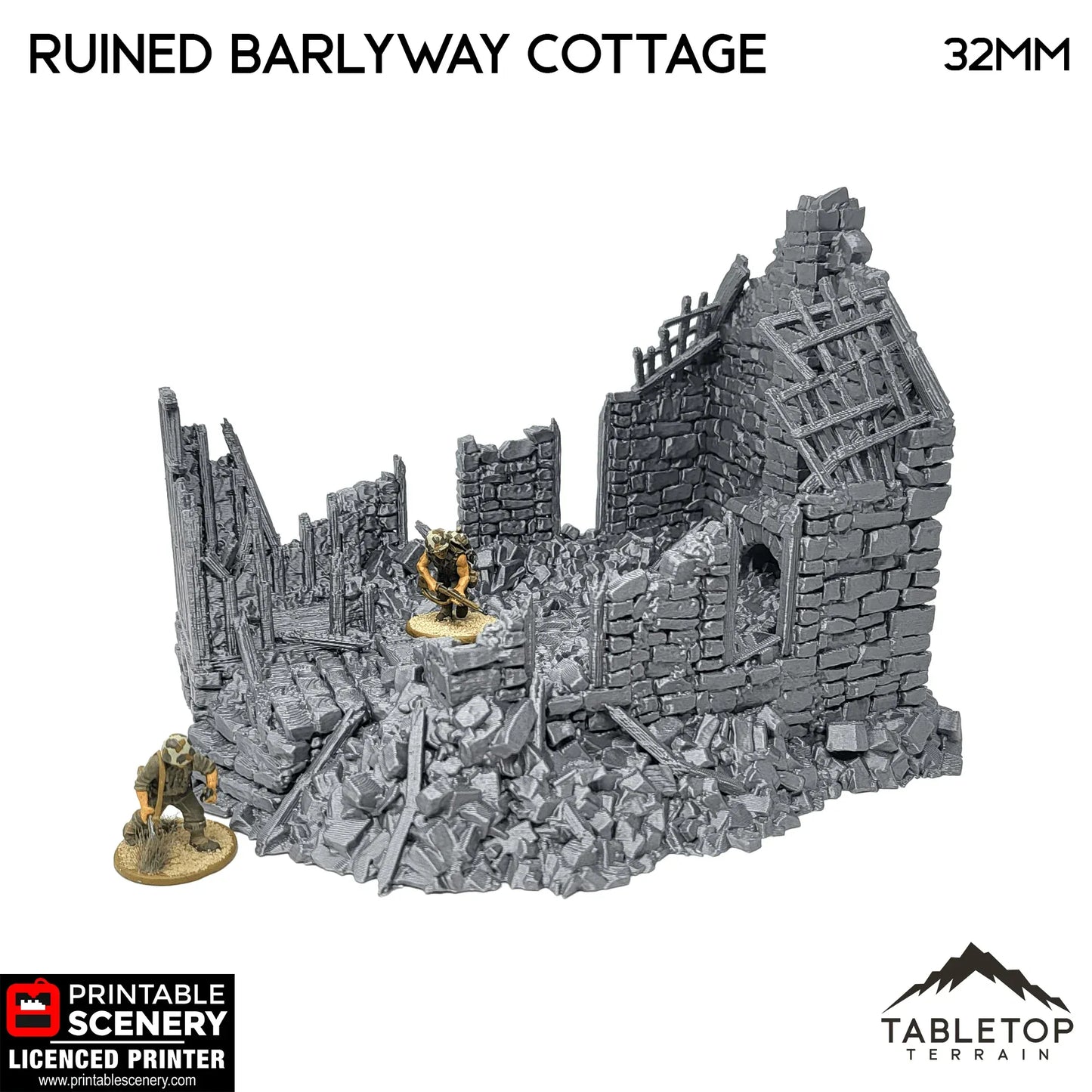 Ruined Barlyway Cottage - Country & King - Fantasy Historical Ruins