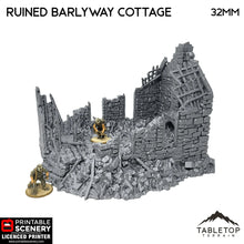 Ruined Barlyway Cottage - Country & King - Fantasy Historical Ruins
