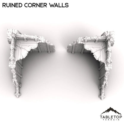 Ruined Corner Walls