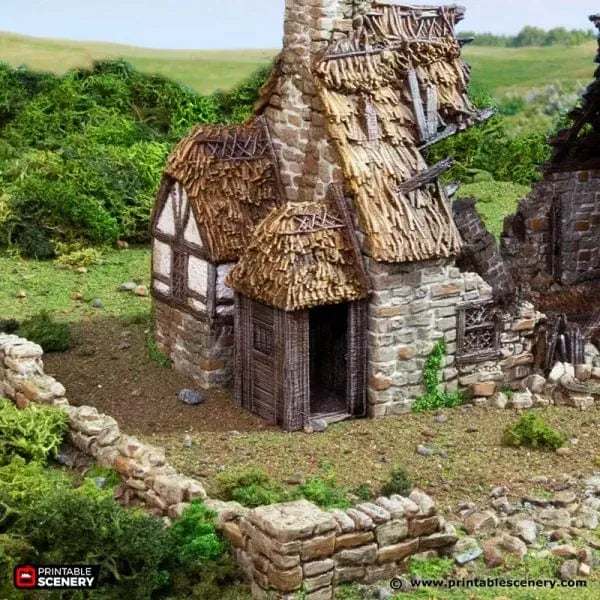 Ruined Country Manor - Country & King - Fantasy Historical Ruins
