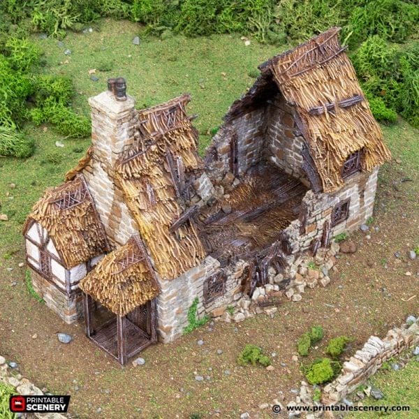 Ruined Country Manor - Country & King - Fantasy Historical Ruins