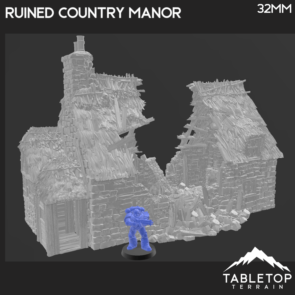 Ruined Country Manor - Country & King - Fantasy Historical Ruins