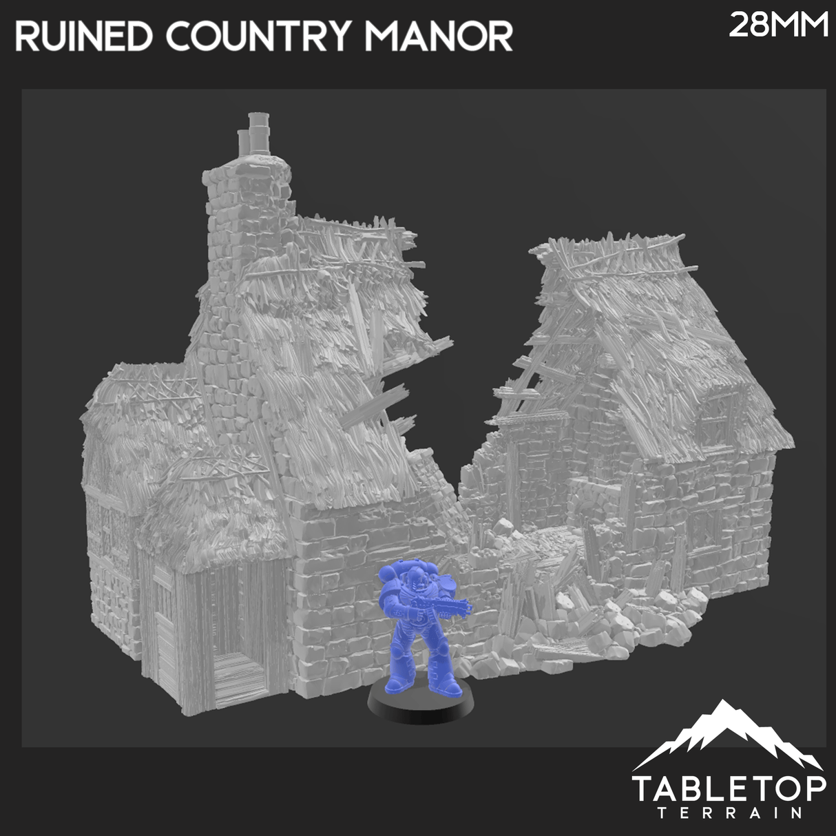 Ruined Country Manor - Country & King - Fantasy Historical Ruins