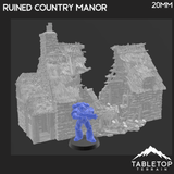 Ruined Country Manor - Country & King - Fantasy Historical Ruins