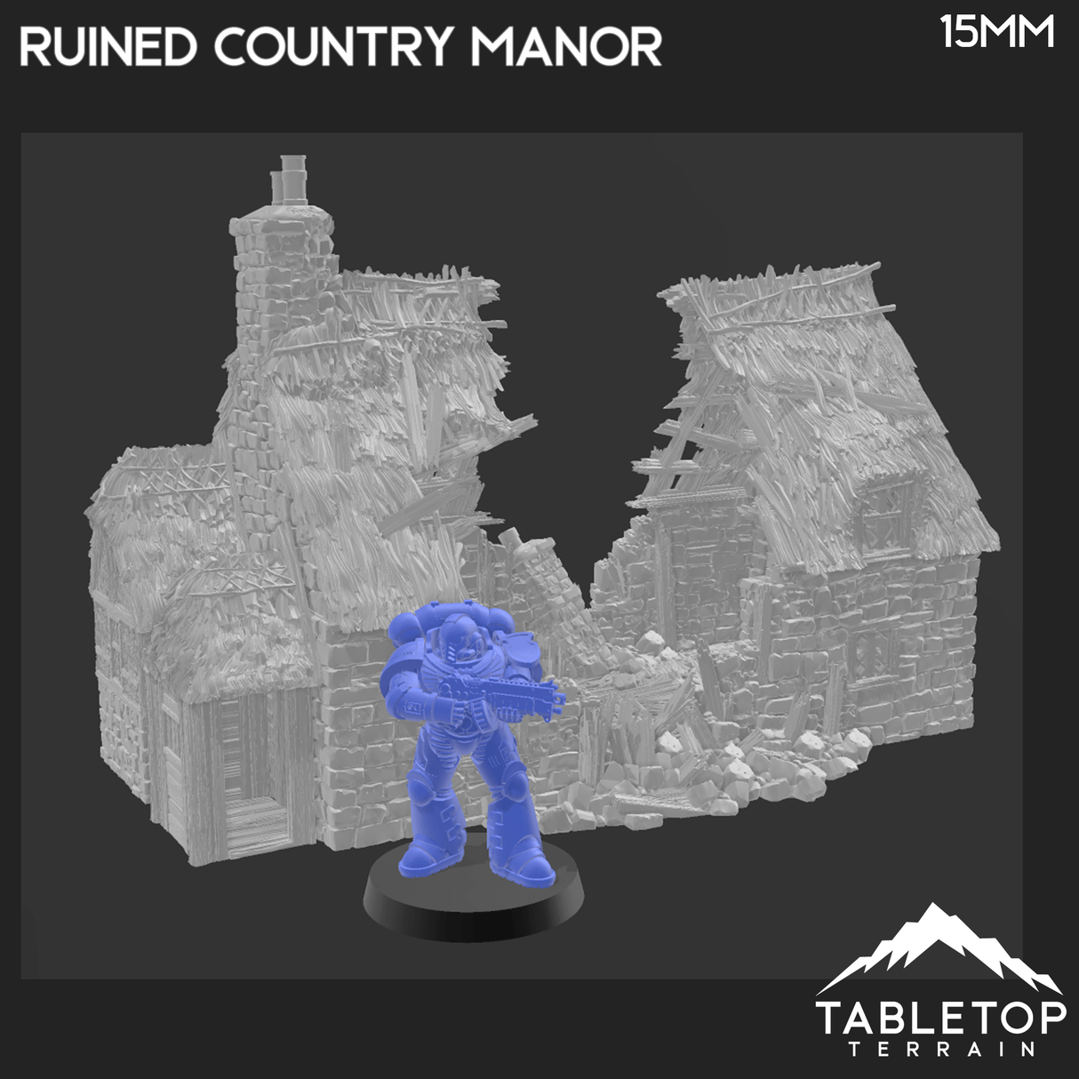 Ruined Country Manor - Country & King - Fantasy Historical Ruins