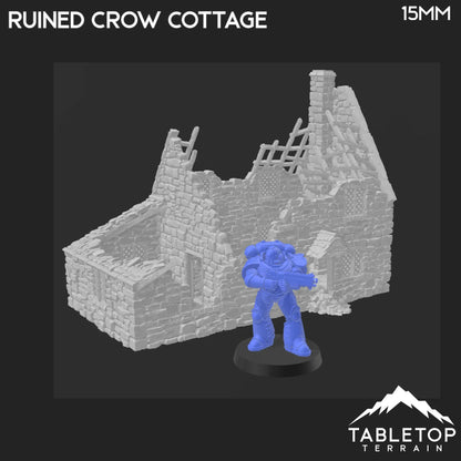 Ruined Crow Cottage - Country & King - Fantasy Historical Ruins