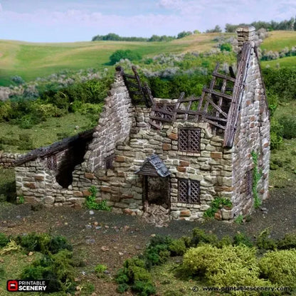 Ruined Crow Cottage - Country & King - Fantasy Historical Ruins