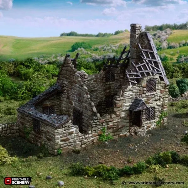 Ruined Crow Cottage - Country & King - Fantasy Historical Ruins