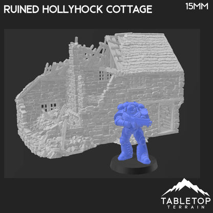 Ruined Hollyhock Cottage - Country & King - Fantasy Historical Ruins