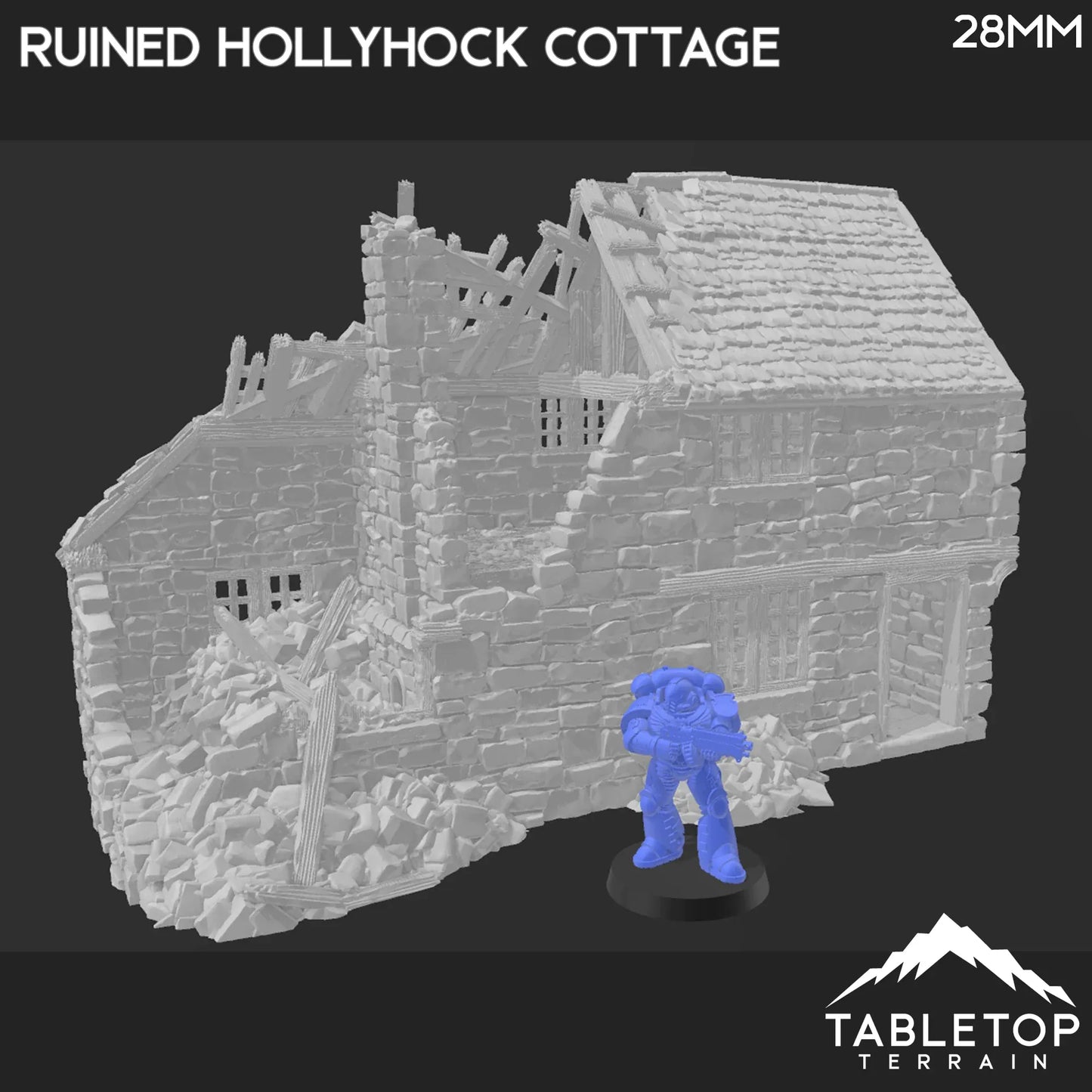 Ruined Hollyhock Cottage - Country & King - Fantasy Historical Ruins