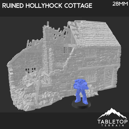 Ruined Hollyhock Cottage - Country & King - Fantasy Historical Ruins