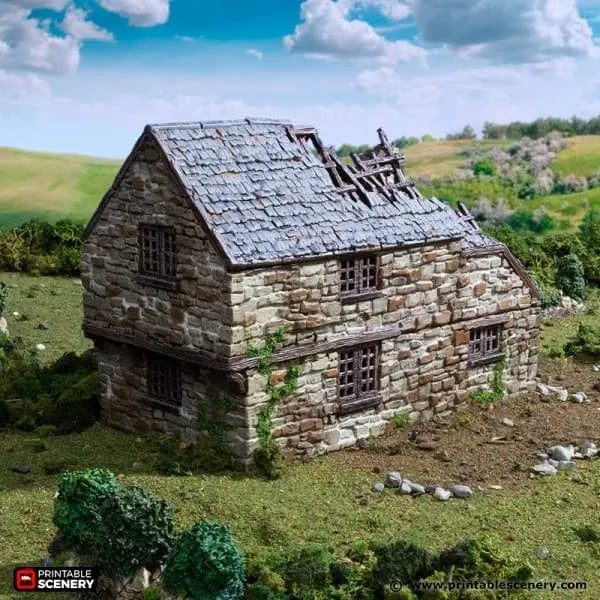Ruined Hollyhock Cottage - Country & King - Fantasy Historical Ruins
