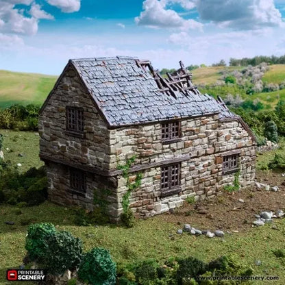 Ruined Hollyhock Cottage - Country & King - Fantasy Historical Ruins