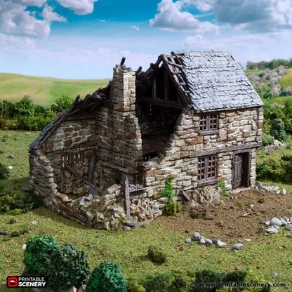 Ruined Hollyhock Cottage - Country & King - Fantasy Historical Ruins
