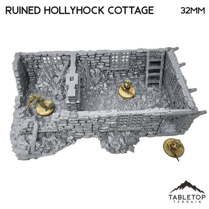 Ruined Hollyhock Cottage - Country & King - Fantasy Historical Ruins