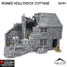 Ruined Hollyhock Cottage - Country & King - Fantasy Historical Ruins