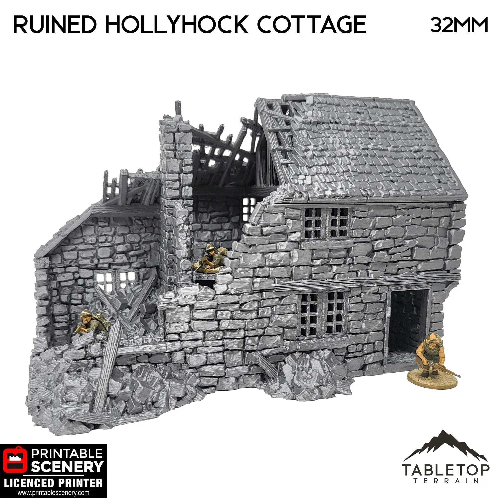 Ruined Hollyhock Cottage - Country & King - Fantasy Historical Ruins