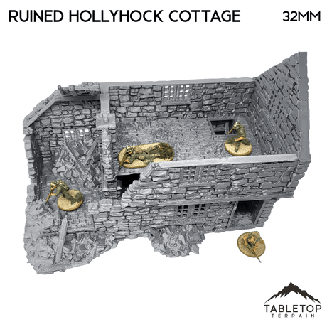 Ruined Hollyhock Cottage - Country & King - Fantasy Historical Ruins