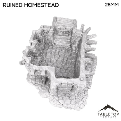 Ruined Homestead - Hagglethorn Hollow - Fantasy Ruins