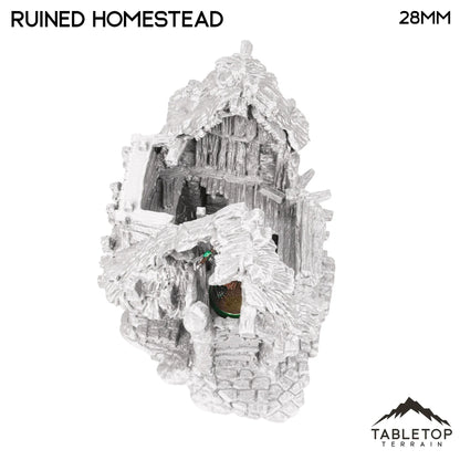 Ruined Homestead - Hagglethorn Hollow - Fantasy Ruins