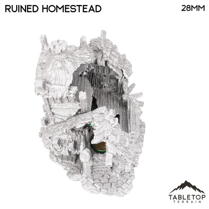 Ruined Homestead - Hagglethorn Hollow - Fantasy Ruins