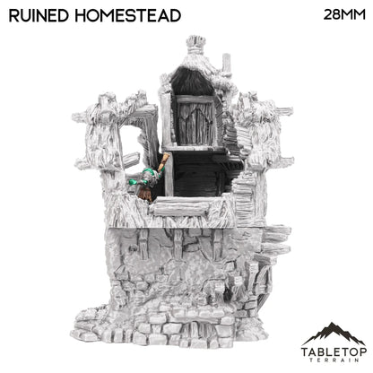Ruined Homestead - Hagglethorn Hollow - Fantasy Ruins